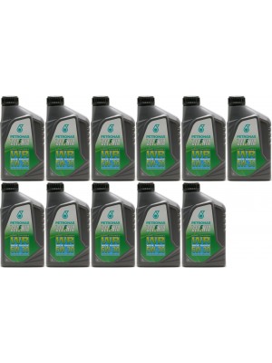 Selenia WR Pure Energy 5W-30 Motoröl 11x 1l = 11 Liter