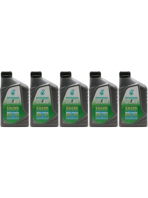 Selenia WR Pure Energy 5W-30 Motoröl 5x 1l = 5 Liter