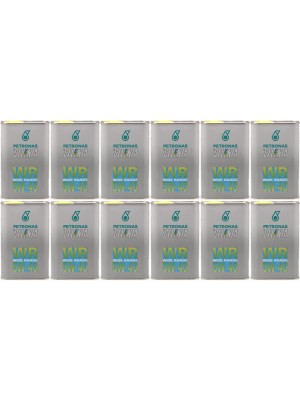 Selenia WR Wide Range 5W-40 Motoröl 12x 1l = 12 Liter