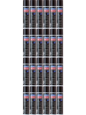 Liqui Moly 1603 Racing Helm-Innen-Reiniger 24x 300 Milliliter