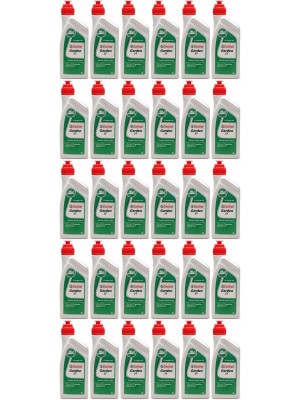 CASTROL GARDEN 2T Motoröliter 30x 1l = 30 Liter