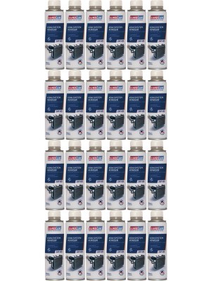 Eurolub EAP 420 Kühlsystemreiniger 24x 300 Milliliter