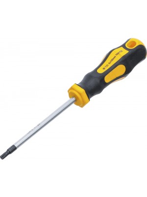BGS 7844-T25 Schraubendreher | T-Profil (für Torx) T25 | Klingenlänge 100 mm
