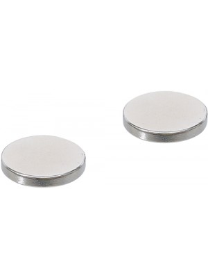 BGS 79911 Magnet-Satz | extra stark | Ø 18 mm | 2-tlg.