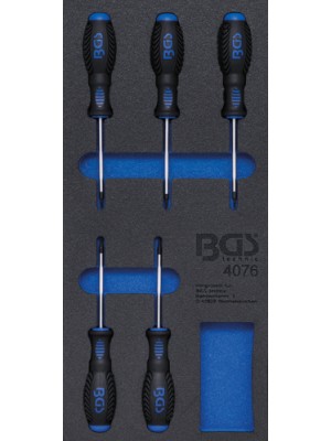BGS 4076 Werkstattwageneinlage 1/3: Schraubendreher T-Profil (für Torx) | 5-tlg.