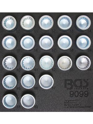 BGS 9099 Werkstattwageneinlage 1/6: Felgenschloss-Werkzeugsatz für Porsche und VW Touareg | 20-tlg.