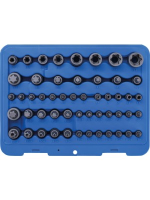 BGS 9839 Bit-Einsatz- und Steckschlüssel-Einsatz-Satz | E-Profil / T-Profil (für Torx) / T-Profil (für Torx) mit Bohrung / TP-Profil (für Torx Plus) | 52-tlg.
