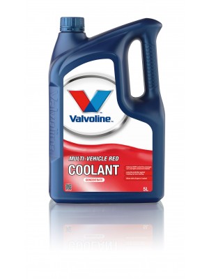 Valvoline MULTI-VEHICLE RED COOLANT CONC 5 Liter Kanister