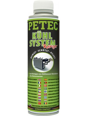 KueHLSYSTEMREINIGER, 250ML