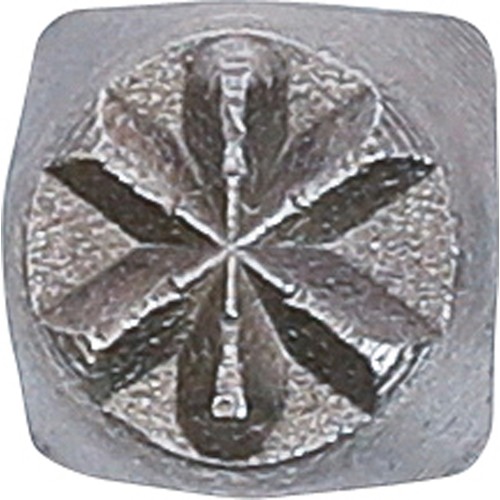 BGS Einschlagstern | 6 mm