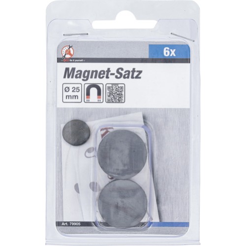 BGS Magnet-Satz | Keramik | Ø 25 mm | 6-tlg.