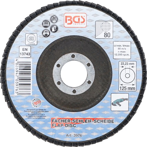 BGS Fächer-Schleif-Scheibe | Ø 125 mm | K 80