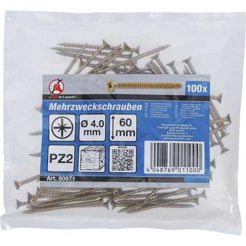 BGS Mehrzweckschrauben | Kreuzschlitz PZ2 | 4,0 x 60 mm | 100 Stück