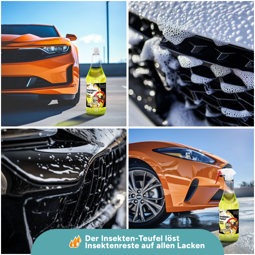 Tuga Chemie - Insekten-Teufel (Insektenentferner) 1L Spraydose